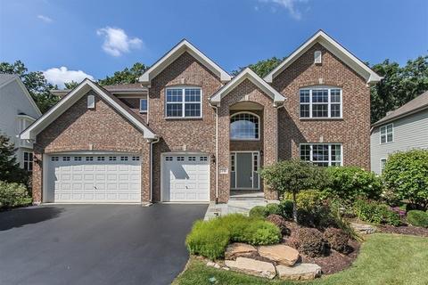 230 Regency Dr, Bartlett, IL 60103 photo 1