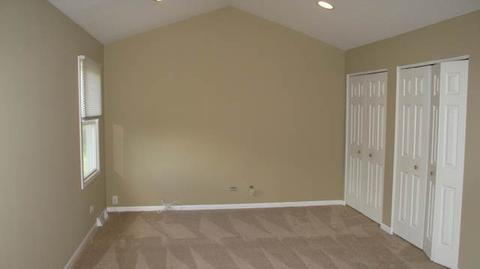 262 Windsor Dr, Bartlett, IL 60103 photo 14