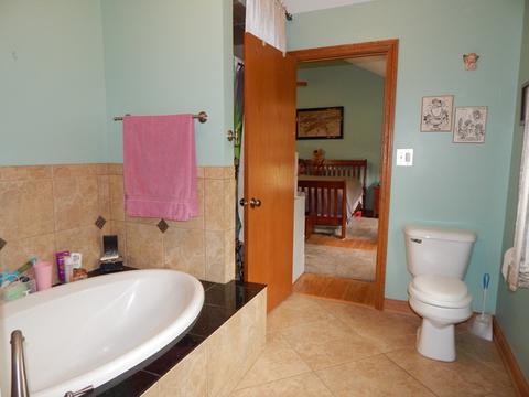 24842 Vermette Rd, Plainfield, IL 60585 photo 13