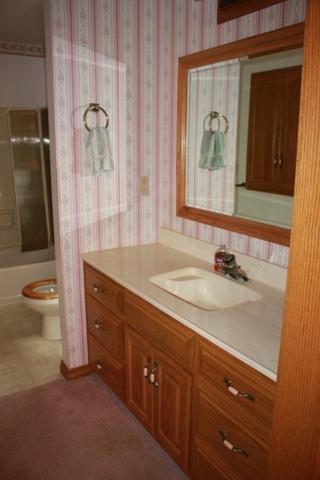 431 E Lincoln Ave, Onarga, IL 60955 photo 34