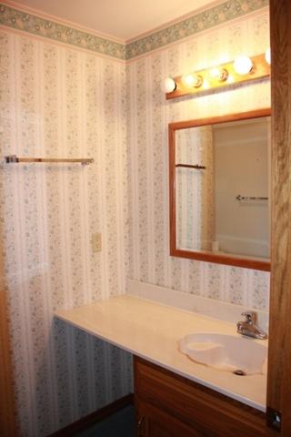 431 E Lincoln Ave, Onarga, IL 60955 photo 23