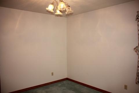 431 E Lincoln Ave, Onarga, IL 60955 photo 27