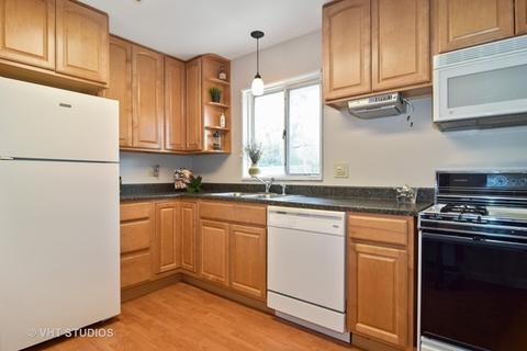260 Payson St, Hoffman Estates, IL 60169 photo 3