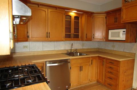 313 S Harvard Ave, Addison, IL 60101 photo 13