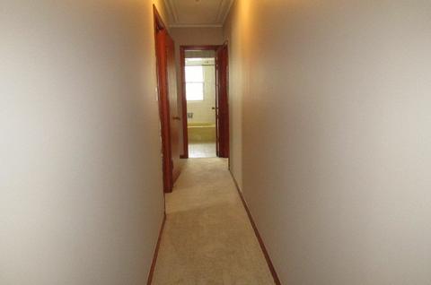 313 S Harvard Ave, Addison, IL 60101 photo 17