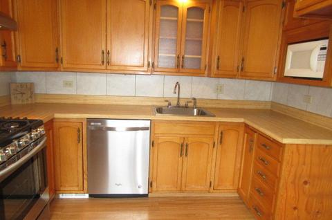 313 S Harvard Ave, Addison, IL 60101 photo 14