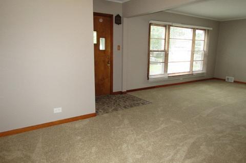 313 S Harvard Ave, Addison, IL 60101 photo 10