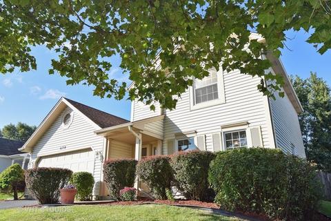670 Packard Dr, Elgin, IL 60120 photo 18