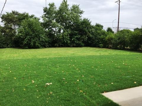 180 Aster Ln, Hoffman Estates, IL 60169 photo 20