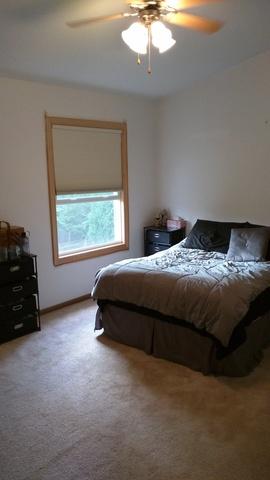 1006 Bentley Ln, Bartlett, IL 60103 photo 7