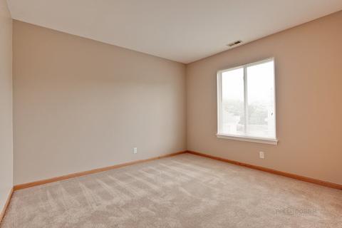 13927 S Oregon Dr, Plainfield, IL 60544 photo 17