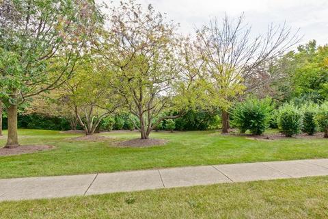 13927 S Oregon Dr, Plainfield, IL 60544 photo 22