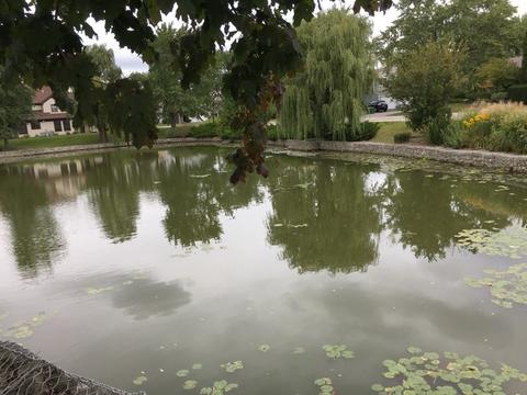 836 Cambridge Pl #130A, Wheeling, IL 60090 photo 6