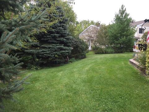 836 Cambridge Pl #130A, Wheeling, IL 60090 photo 3