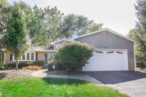 607 Gaslight Dr, Algonquin, IL 60102 photo 2