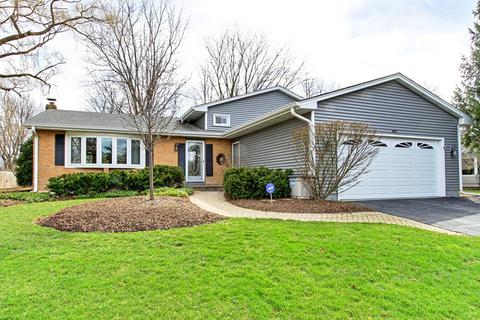 607 Gaslight Dr, Algonquin, IL 60102 photo 1
