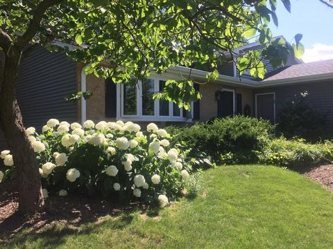 607 Gaslight Dr, Algonquin, IL 60102 photo 3