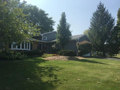 607 Gaslight Dr, Algonquin, IL 60102 photo 33