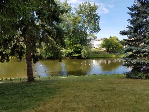 460 Sundance Dr, Bartlett, IL 60103 photo 2
