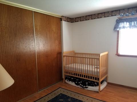 460 Sundance Dr, Bartlett, IL 60103 photo 12