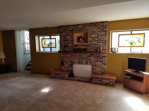 460 Sundance Dr, Bartlett, IL 60103 photo 9