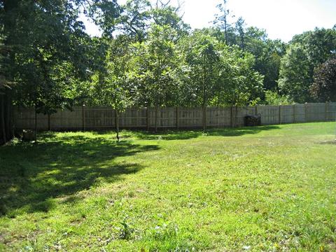195 E Stearns Rd, Bartlett, IL 60103 photo 35