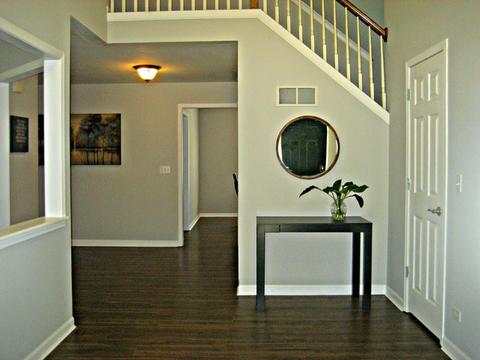 195 E Stearns Rd, Bartlett, IL 60103 photo 5