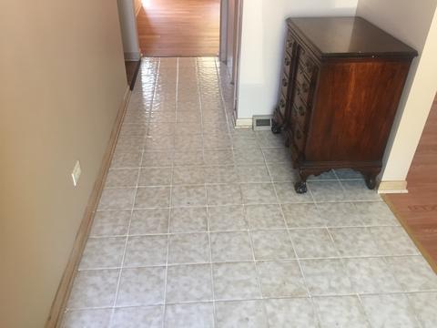 17246 William St, Lansing, IL 60438 photo 12