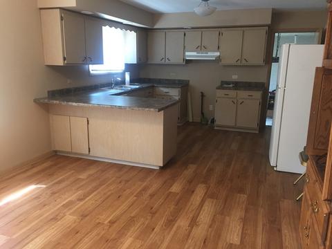 17246 William St, Lansing, IL 60438 photo 6