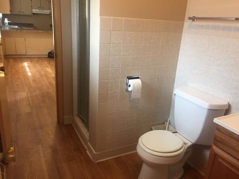 17246 William St, Lansing, IL 60438 photo 18