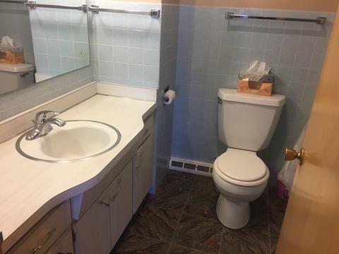 17246 William St, Lansing, IL 60438 photo 14