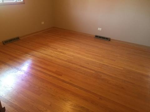 17246 William St, Lansing, IL 60438 photo 17