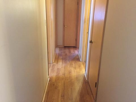 17246 William St, Lansing, IL 60438 photo 13