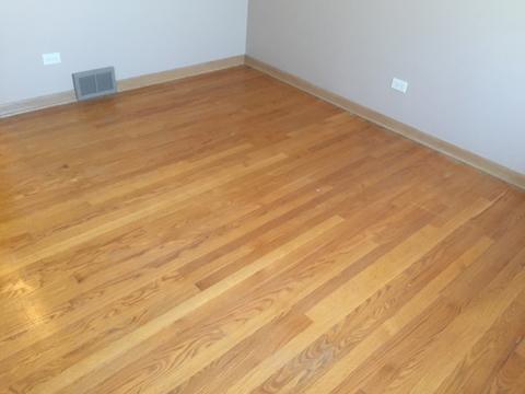 17246 William St, Lansing, IL 60438 photo 16