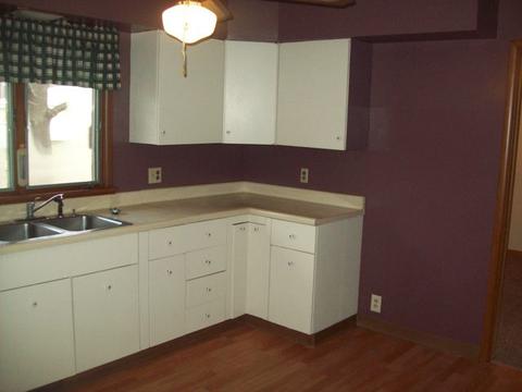 308 S Main St, Walnut, IL 61376 photo 4