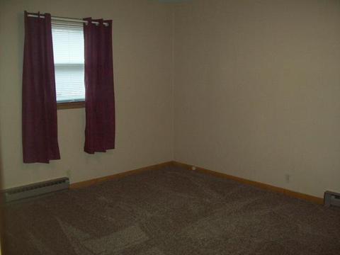 308 S Main St, Walnut, IL 61376 photo 9