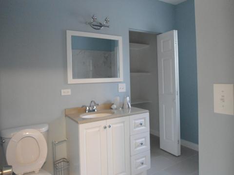 910 N Pine Ave, Chicago, IL 60651 photo 25