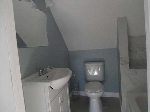 910 N Pine Ave, Chicago, IL 60651 photo 23