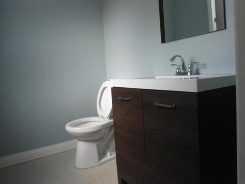 910 N Pine Ave, Chicago, IL 60651 photo 22