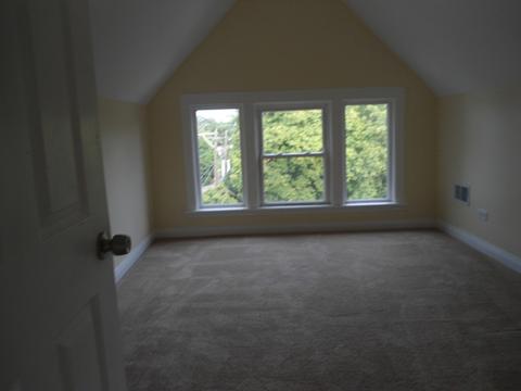 910 N Pine Ave, Chicago, IL 60651 photo 15