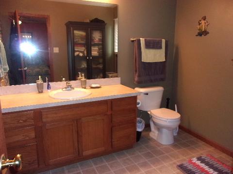 25205 S Mallard Dr, Channahon, IL 60410 photo 24
