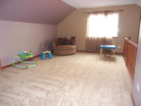 25205 S Mallard Dr, Channahon, IL 60410 photo 17