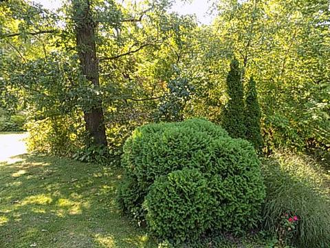 309 Hillside Ave, Ottawa, IL 61350 photo 19