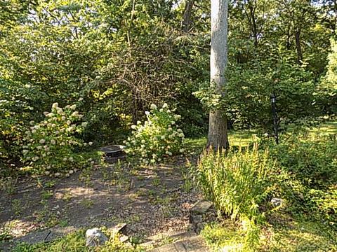 309 Hillside Ave, Ottawa, IL 61350 photo 18