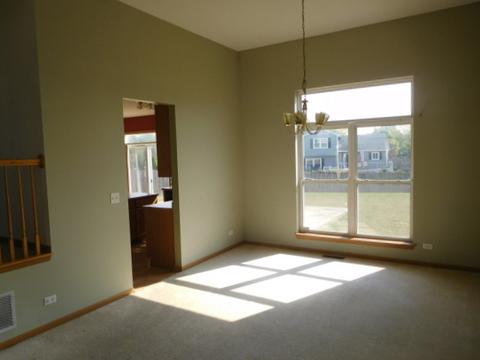 2916 Discovery Dr, Plainfield, IL 60586 photo 6