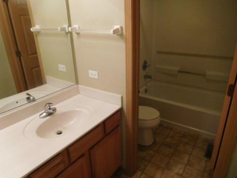2916 Discovery Dr, Plainfield, IL 60586 photo 14