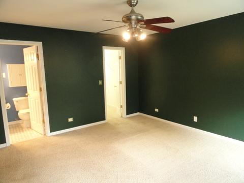 4042 Boulder Ct, Aurora, IL 60504 photo 17