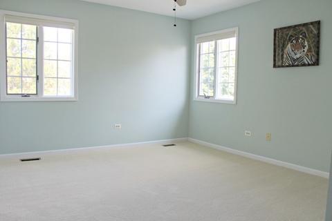 141 Brighton Dr, Wheaton, IL 60189 photo 20