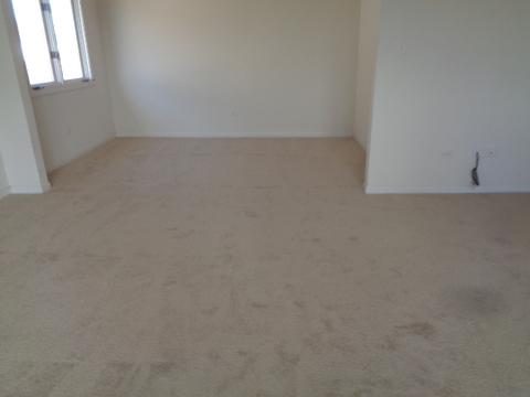 6009 Colgate Ln, Matteson, IL 60443 photo 14
