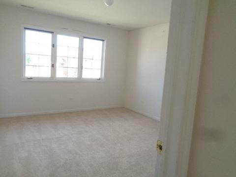 6009 Colgate Ln, Matteson, IL 60443 photo 12